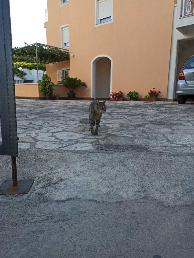 Parapid Lägenhet Budva